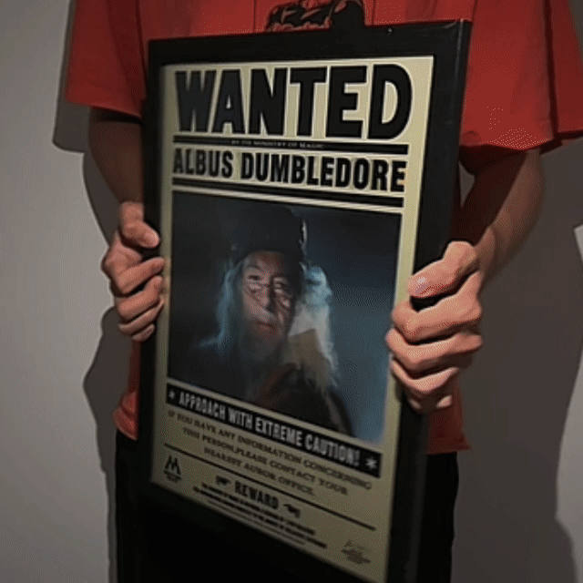 Wizarding Arts