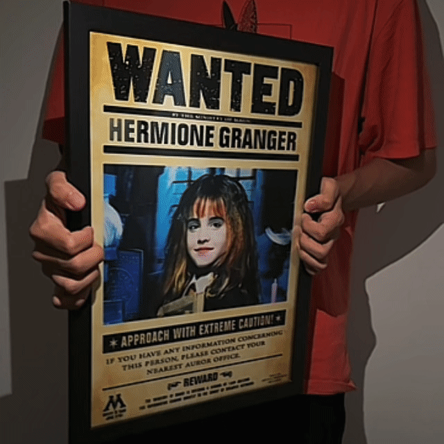 Wizarding Arts